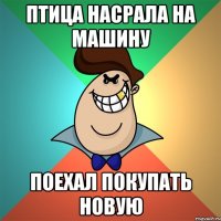 Птица насрала на машину Поехал покупать новую