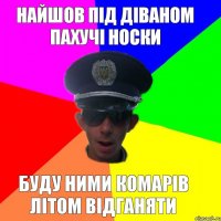 найшов під діваном пахучі носки буду ними комарів літом відганяти