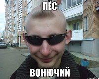 пёс вонючий