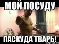 Мой посуду Паскуда тварь!