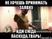 Не хочешь принимать заявку иди сюда паскуда,тварь!