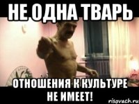 Не одна тварь отношения к культуре не имеет!