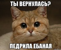 Ты вернулась? Педрила ебаная