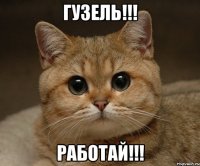 Гузель!!! Работай!!!