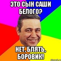 Это сын Саши Белого? Нет, блять, БОРОВИК!