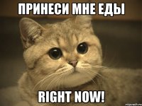 Принеси мне еды Right Now!