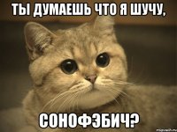 ты думаешь что я шучу, СОНОФЭБИЧ?