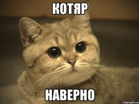 котяр наверно