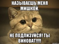 называешь меня мишкой. не подлизуйся! ты виноват!!!!