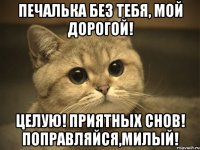 Печалька без тебя, мой дорогой! Целую! Приятных снов! Поправляйся,милый!