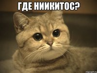 Где Ниикитос? 