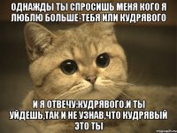 однажды ты спросишь меня кого я люблю больше-тебя или кудрявого и я отвечу:кудрявого.и ты уйдешь,так и не узнав,что кудрявый это ты