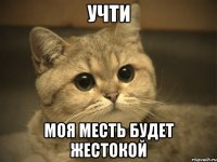 Учти моя месть будет жестокой