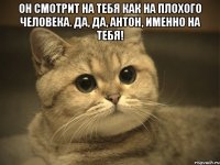 Он смотрит на тебя как на плохого человека. Да, да, Антон, именно на тебя! 