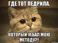 Где тот педрила, который уебал мою методу?!