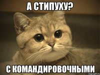 а стипуху? с командировочными