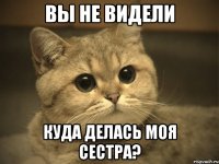 Вы не видели куда делась моя сестра?