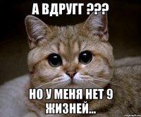 а вдругг ??? Но у меня нет 9 жизней...