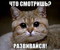 Что смотришь? Развивайся!