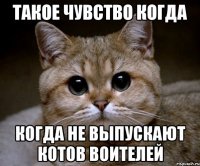 Такое чувство когда Когда не выпускают котов воителей