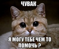 чувак , я могу тебе чем то помочь ?