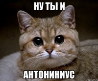 Ну ты и Антониниус