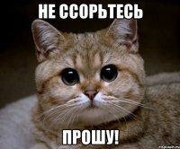 Не ссорьтесь ПРОШУ!