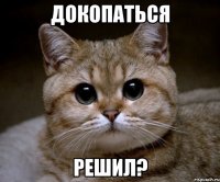 Докопаться Решил?