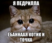 Я педрилла ёбаннаая котик и точка