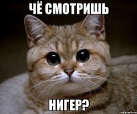 Чё смотришь нигер?