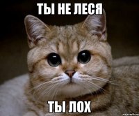 Ты не Леся ты ЛОХ