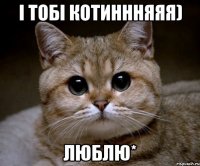 і тобі котиннняяя) ЛЮБЛЮ*