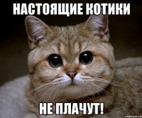 НАСТОЯЩИЕ КОТИКИ НЕ ПЛАЧУТ!