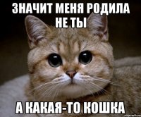 Значит меня родила не ты А какая-то кошка