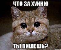 что за хуйню ты пишешь?