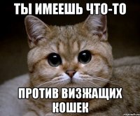 Ты имеешь что-то против визжащих кошек