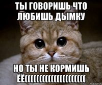 ты говоришь что любишь дымку но ты не кормишь ёё(((((((((((((((((((((