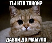 Ты кто такой? Давай до Мамуля