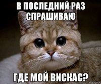 В ПОСЛЕДНИЙ РАЗ СПРАШИВАЮ ГДЕ МОЙ ВИСКАС?