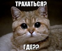 трахаться? где??