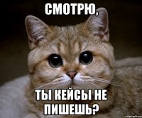 СМОТРЮ, ТЫ КЕЙСЫ НЕ ПИШЕШЬ?