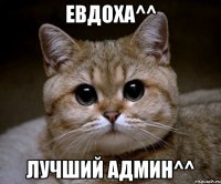 Евдоха^^ Лучший админ^^