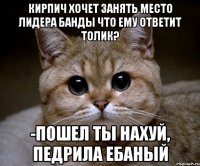 кирпич хочет занять место лидера банды что ему ответит толик? -пошел ты нахуй, педрила ебаный