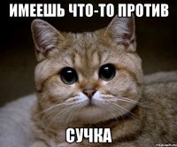 Имеешь что-то против Сучка