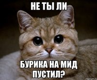 НЕ ТЫ ЛИ БУРИКА НА МИД ПУСТИЛ?