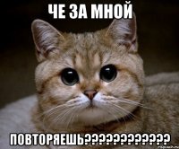 Че за мной повторяешь????????????