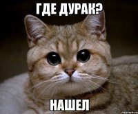 где дурак? нашел