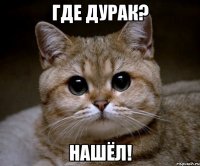 где дурак? Нашёл!