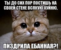 Ты до сих пор постишь на своей стене всякую хуйню, пиздрила ебанная?!