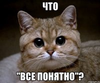 Что "все понятно"?